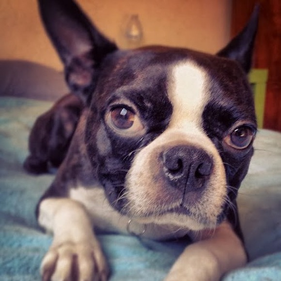 Meet your Posher, Ashley - Picture 1 of 1